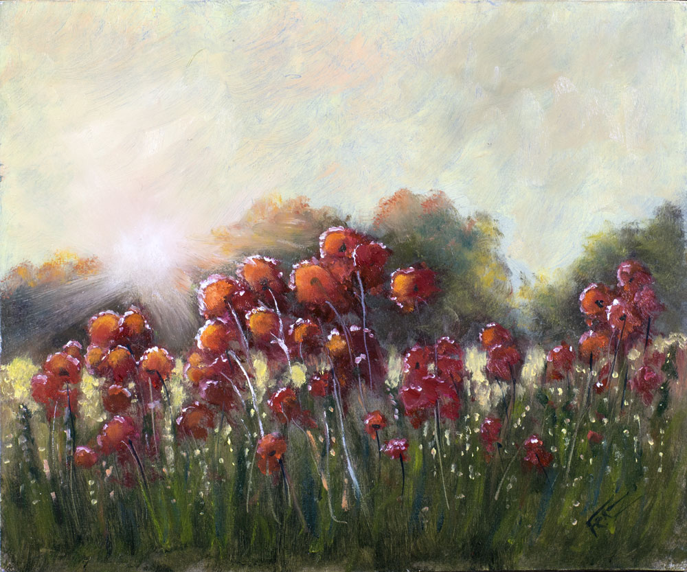 Poppies in Early Morning Sunlight97:209
