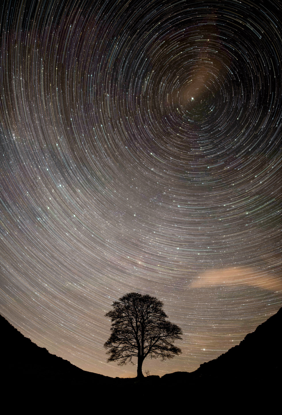 Sycamore Gap Starswirl1:1
