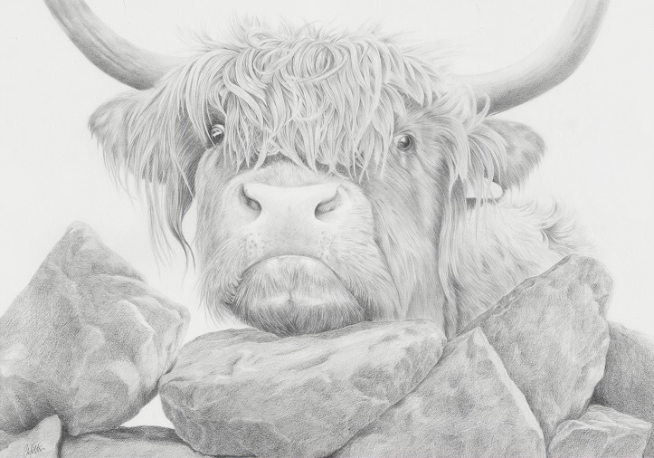 Nosey Cow II19:56